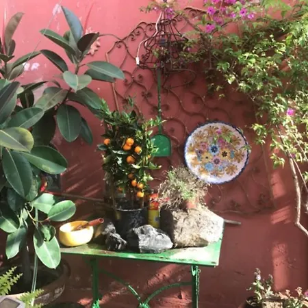 Sulle Tracce Di Sofia Loren